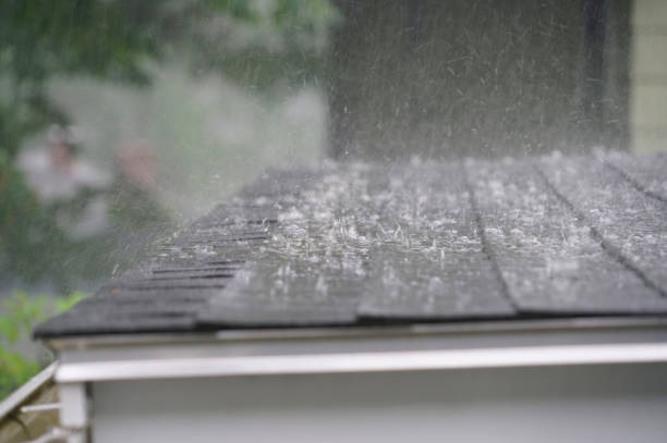 Best Roof Coating and Sealing  in Rk Forest Village, PA