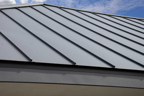 Best Steel Roofing  in Rk Forest Village, PA